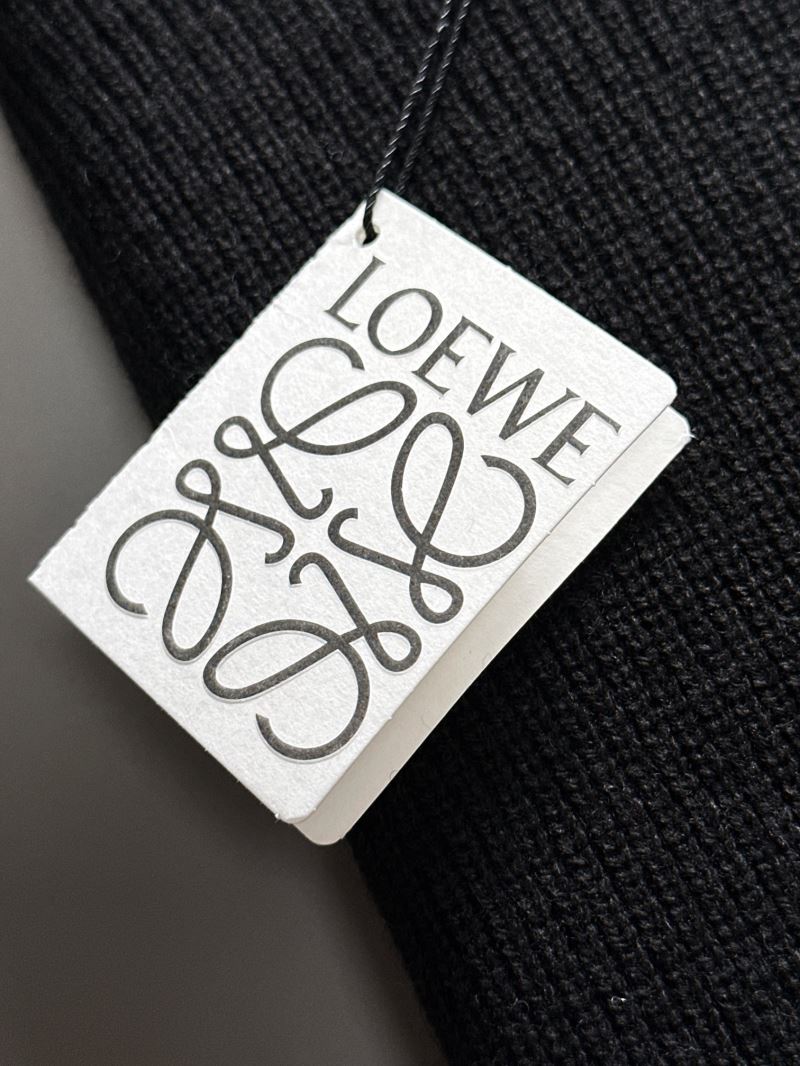 Loewe Sweaters